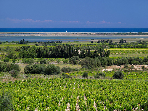 Etang la Palme