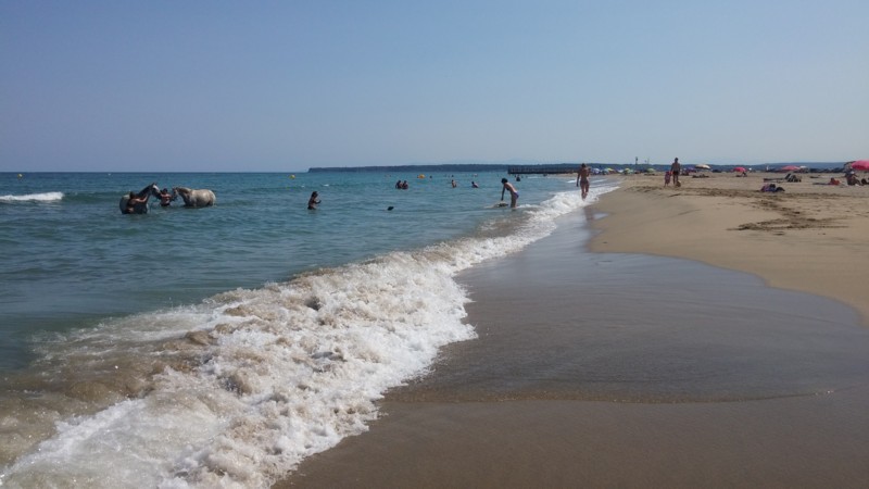 Randonnée a chevale plage Leucate